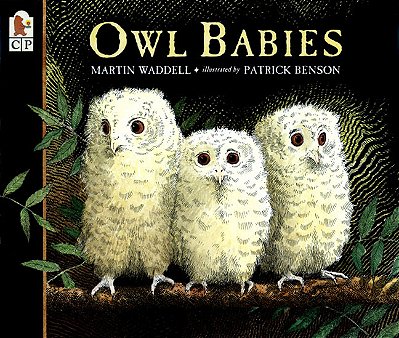 Owl Babies..-