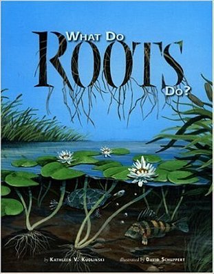 What Do Roots Do?-..