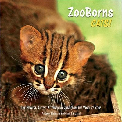 Zooborns Cats!: The Newest, Cutest Kittens And Cubs From The World's Zoos-..