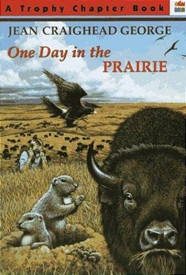 One Day In The Prairie-..