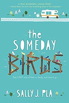 The Someday Birds-..