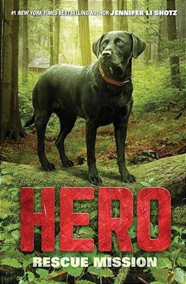 Hero: Rescue Mission-..