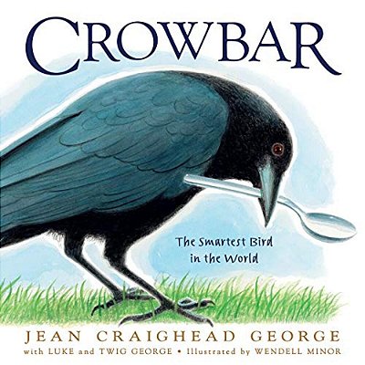 Crowbar: The Smartest Bird In The World-..