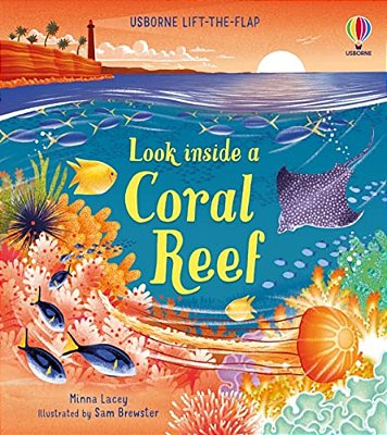 Look Inside A Coral Reef-..