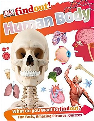 Dkfindout! Human Body-..