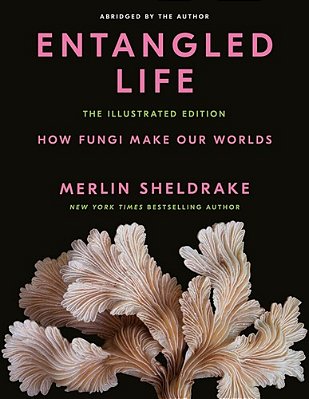 Entangled Life: The Illustrated Edition: How Fungi Make Our Worlds-..