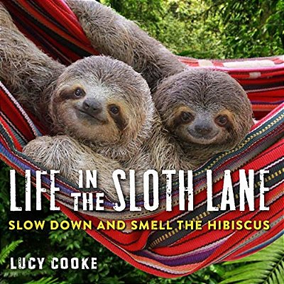 Life In The Sloth Lane: Slow Down And Smell The Hibiscus-..