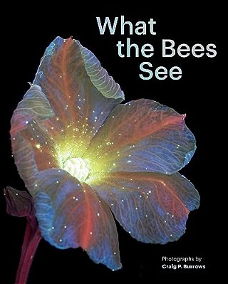 What The Bees See: A Honeybee's Eye View Of The World-..