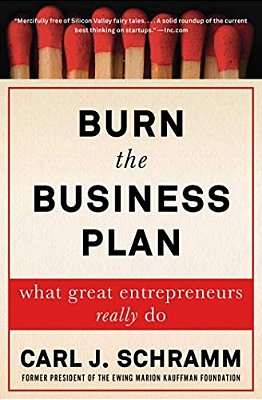Burn The Business Plan: What Great Entrepreneurs Really Do-..