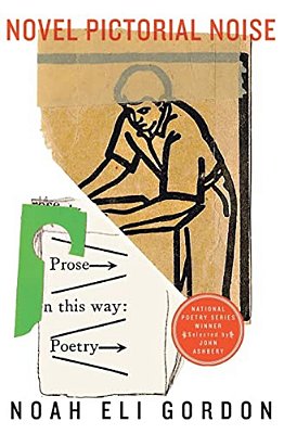 Novel Pictorial Noise-..