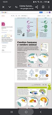 Como Funciona El Cerebro (How The Brain Works)-..