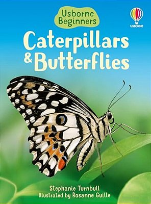 Caterpillars And Butterflies-..