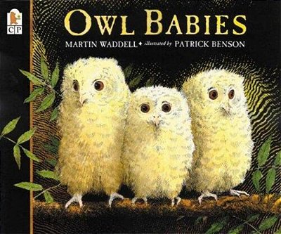 Owl Babies-..