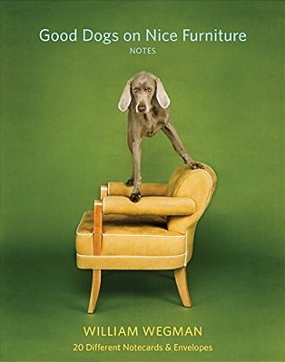 Good Dogs On Nice Furniture Notes: 20 Different Notecards & Envelopes [With Envelope]-..