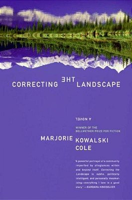 Correcting The Landscape-..
