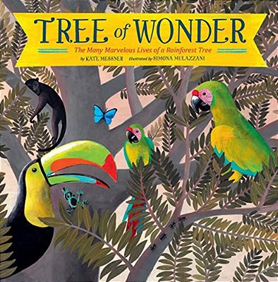 Tree Of Wonder: The Many Marvelous Lives Of A Rainforest Tree-..