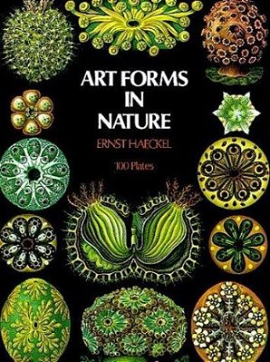 Art Forms In Nature-..