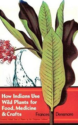 How Indians Use Wild Plants For Food, Medicine & Crafts-..