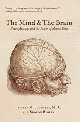 The Mind And The Brain: Neuroplasticity And The Power Of Mental Force-..