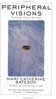 Peripheral Visions: Learning Along The Way-..