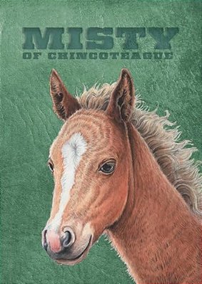 Misty Of Chincoteague: Special Edition-..