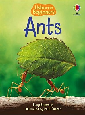 Ants-..