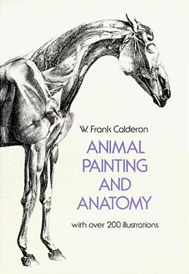 Animal Painting And Anatomy-..