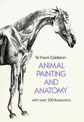 Animal Painting And Anatomy-..