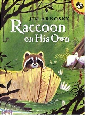 Raccoon On His Own-..