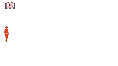 English For Everyone Everyday English: Learn And Practice Over 1,500 Words And Phrases-..