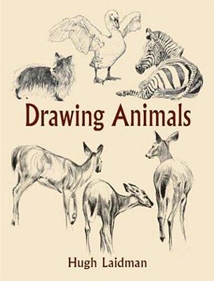Drawing Animals-..
