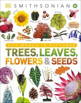 Trees, Leaves, Flowers And Seeds: A Visual Encyclopedia Of The Plant Kingdom-..