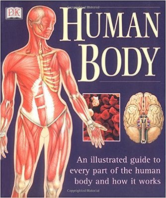 The Human Body
