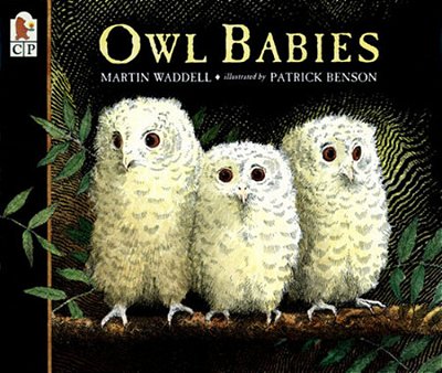Owl Babies-..