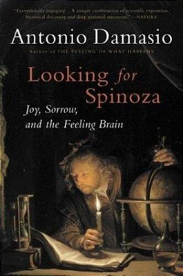 Looking For Spinoza - Joy Sorrow And The Feeling Brain-..
