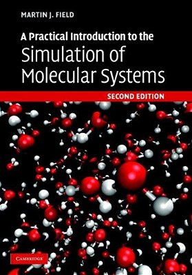 A Practical Introduction To The Simulation Of Molecular Systems-..