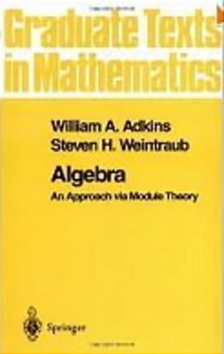 Algebra - An Approach Via Module Theory-..