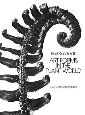 Art Forms In The Plant World-..