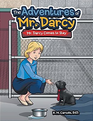 The Adventures Of Mr. Darcy: Mr. Darcy Comes To Stay-..
