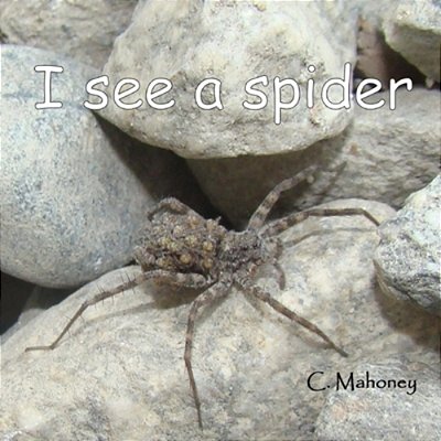 I See A Spider: At Bonita Falls In Lyttle Creek-..