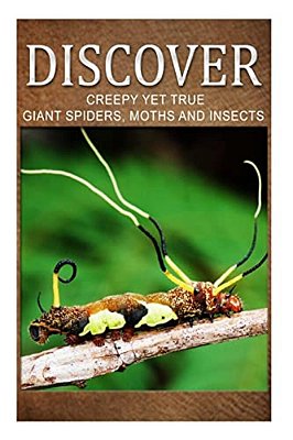 Creepy Yet True Giant Spiders, Moths And Insects - Discover: Early Reader's Wildlife Photography Book-..