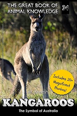 Kangaroos: The Symbol Of Australia-..