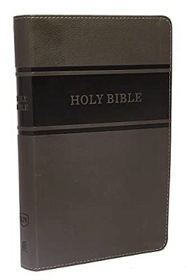 Kjv, Deluxe Gift Bible, Imitation Leather, Gray, Red Letter Edition-..