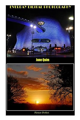 Everyday Digital Photography: Picture Perfect-..