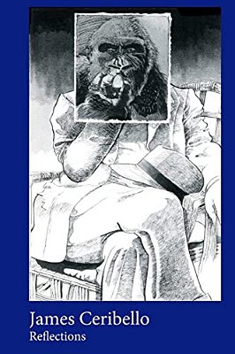 James Ceribello, Reflections-..