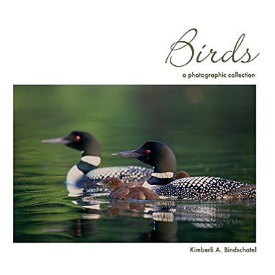 Birds: A Photographic Collection-..