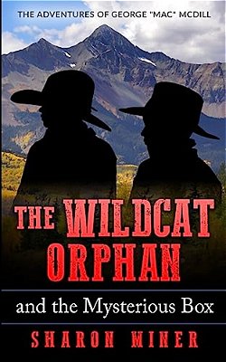 The Wildcat Orphan And The Mysterious Box-..
