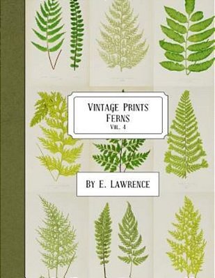 Vintage Prints: Ferns: Vol. 4-..