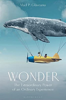 Wonder: The Extraordinary Power Of An Ordinary Experience-..