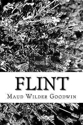 Flint-..